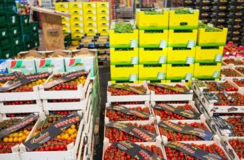 Brückenschlag für neuen Lebens-Mittel-Punkt herunterladen